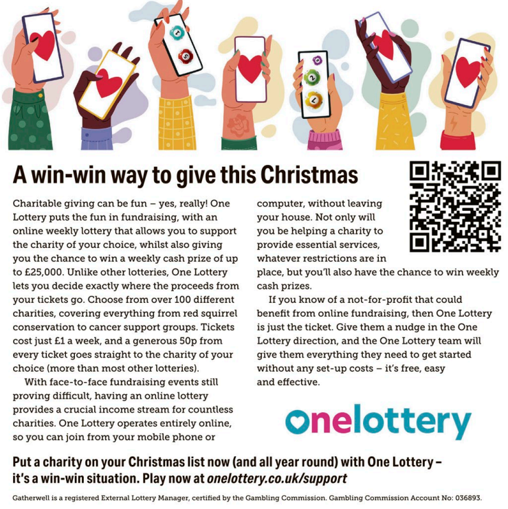 Screenshot of One Lottery feature in the Guardian's Charity Checklist